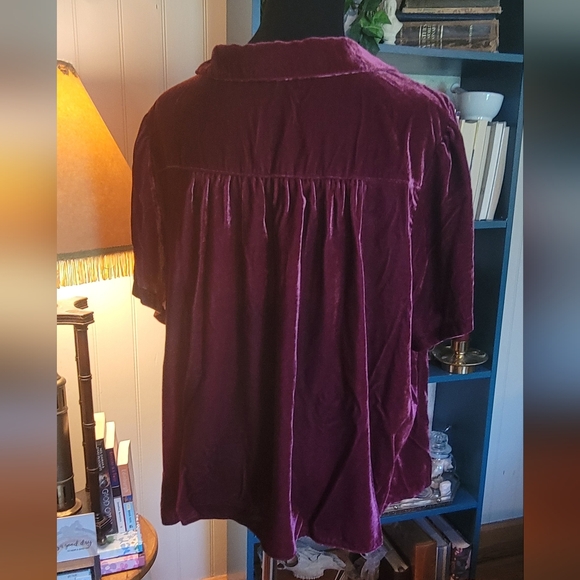 Plus Size Modcloth Velvet Peter Pan Collar Blouse - Picture 5 of 5